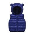 thumbnail image 1 of Toddler Puffer Vest Boys Vest Cute Hoodie Vest Sleeveless Windproof Down Jacket Toddler Winter Jacket for Kids 3-4 Years, 1 of 2