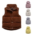 thumbnail image 1 of Toddler Puffer Vest Corduroy Vest Fleece Lined Button Up Stand Collar Warm Vest, 1 of 3