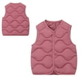 thumbnail image 1 of Toddler Puffer Vest Girls Vest Lightweight Water-Resistant Button Down Windproof Down Jacket Sleeveless Toddler Girls Fall Jacket 2-3 Years, 1 of 4
