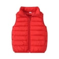 thumbnail image 1 of Toddler Puffer Vest Kids Winter Vest Casual Lightweight Cute Jackets Sleeveless Child Down Jacket for Little Boys 6-7 Years, 1 of 4