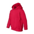 thumbnail image 1 of Toddler Pullover Fleece Hoodie, 1 of 1