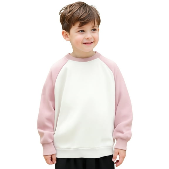 Toddler Sweatshirt Boy Long Sleeve Color Block Sweatshirts Crewneck Pullover Tops Winter Clothes Kids Clothes Boys Size 3-4 Years Kids Clothes