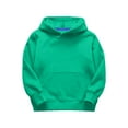 thumbnail image 1 of Toddler Sweatshirt Child Kids Solid Long Sleeve Patchwork Thickened Warm Hooded Pullover Blouse Tops Boys Hoodie Green 90, 1 of 5