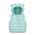 thumbnail image 1 of Toddler Toddler Puffer Vest with Hooded Bear Ear Sleeveless Lightweight Outerwear Vests Boys' Outerwear Vests Girls Clothes Size 2-3 Years, 1 of 4