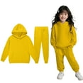thumbnail image 1 of Toddler Tracksuit Athletic Sweatsuits Sets 2PC Long Sleeve Solid Tracksuit Pullover Hoodie Sweatpants Fall Clothes Little Girls Clothes 3-4 Years, 1 of 4