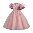 thumbnail image 1 of Toddler Tutu Dress Little Girls Fluffy Summer Dresses Casual Party Tulle Sundress for Kids 2-10Y Pink 2-3 Years, 1 of 5