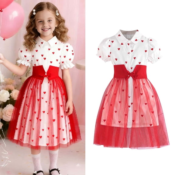 Toddler Valentine Dresses for Girls Puff Sleeve Heart Print Tutu Dress Girls Tulle Dresses Spring Dresses Girls Party Dresses Size 2-3 Years