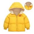 thumbnail image 1 of Toddler Winter Coat for Boys Puffer Jacket Zipper Long Sleeve Kids Warm Winter Coat Outerwear Cute Hooded Jackets with Pockets 2-3 Years Winter Coat Girl, 1 of 3