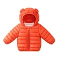 thumbnail image 1 of Toddler Winter Coat Cute Bear Ears with Hoods Thicken Windproof Zipper Warm Puffer Jacket Toddler Boys Winter Jacket 2-3 Years, 1 of 9