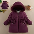 thumbnail image 1 of Toddler Winter Coat for Girls Warm Puffer Jackets Kids Zipper Long Sleeve Kids Warm Winter Coat Outerwear Cute Hooded Jackets with Pockets Baby Winter Clothes 12-18 Months, 1 of 4