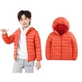thumbnail image 1 of Toddler Winter Coat,Little Boys Girls Puffer Coat Hooded Jacket Thicken Windproof Zipper Warm Outwear for Baby Toddler Winter Jacket Baby Girl Winter Clothes, 1 of 5