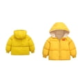thumbnail image 1 of Toddler Winter Coat,Toddler Puffer Coat with Hoods Thicken Windproof Zipper Warm Outwear for Baby Girls Toddler Winter Jacket Winter Baby Girl Clothes, 1 of 3