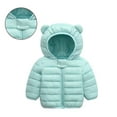 thumbnail image 1 of Toddler Winter Coat for Boys Kids Puffer Jacket Zip up Long Sleeve Windproof Down Jacket Hooded Jackets Winter Clothes for Baby Girl 2-3 Years, 1 of 3