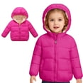 thumbnail image 1 of Toddler Winter Coats for Kids Girls Puffer Jacket Zipper Long Sleeve Windproof Down Jacket Cute Hooded Jackets with Pockets Fall Jacket for Girls 3-4 Years, 1 of 5