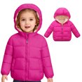 thumbnail image 1 of Toddler Winter Coats for Kids Puffer Jacket Full-Zip Long Sleeve Windproof Jacket Outwear Warm Hooded Outdoor Coats Baby Winter Clothes 12-18 Months, 1 of 4