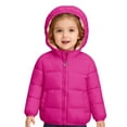 thumbnail image 1 of Toddler Winter Coats for Kids Puffer Jacket Kids Zip up Long Sleeve Windproof Down Jacket Cute Hooded Jackets with Pockets Baby Winter Suit 2-3 Years, 1 of 5