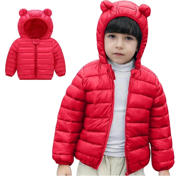 Toddler Winter Coats for Boys Puffer Jacket Zipper Long Sleeve Windproof Jacket Outwear Bear Hooded Down Jacket Winter Jackets for Boys 2-3 Years