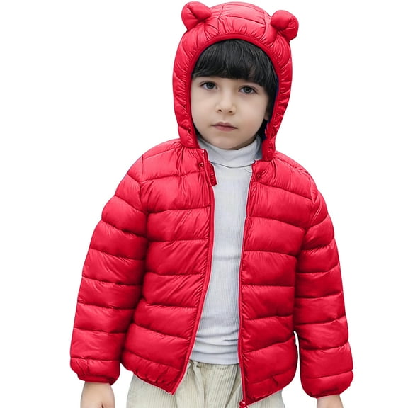 Toddler Winter Coats for Kids Boys Puffer Jacket Full-Zip Long Sleeve Windproof Down Jacket Hooded Jackets 3-4 Years Jacket