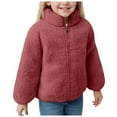 thumbnail image 1 of Toddler Winter Jacket Toddler Girl Hoodie Toddler Fleece Jacket Baby Boys Girls Zipper Long Sleeve Thick Warm Outerwear, 1 of 9
