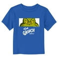 thumbnail image 1 of Toddler's Dr. Seuss Grinch Eyes Close Up  Graphic Tee Royal Blue 5T, 1 of 3