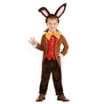 thumbnail image 1 of Toddler's Tea Time March Hare Costume, 1 of 4