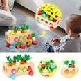 Toddlers Montessori Toys For1 2 3 Years Old,Wooden Shape Sorting Toys