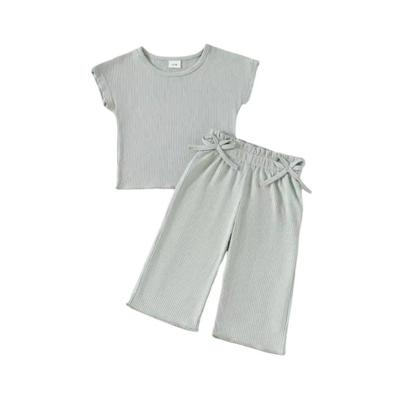 Toddlers Girls Cotton Sets 6M-4Y Kids Cute 2 Piece Going-Out Outfits Casual Solid Color Short Sleeve Tops and Wide Leg Pants Cooling Set