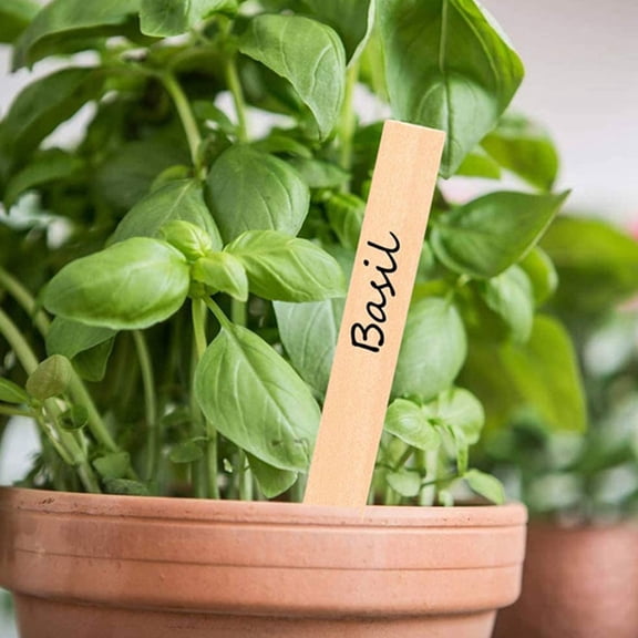 Toddmomy Garden Sign Eucalyptus Wood Khaki 50Pcs 6.0X0.8X0.1In