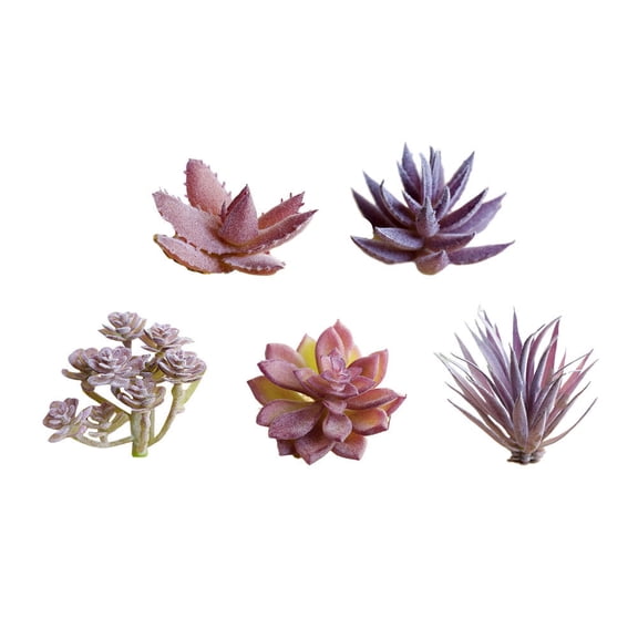 Toddmomy 5Pcs Simulation Succulent Flower Head Plastic Decorative Assorted Color for Home Decoration