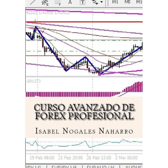 Todo Sobre Forex: Curso de Forex Profesional Vol. I : Todo sobre Forex: Teoria Vol. I (Series #1) (Paperback)