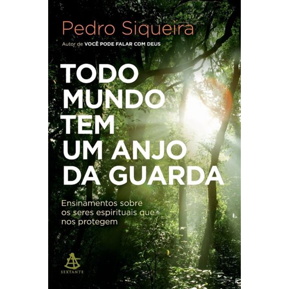 Todo mundo tem um anjo da guarda (Paperback)