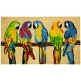 thumbnail image 1 of Northlight Natural Coir Parrots Outdoor Doormat 18" x 30", 1 of 6