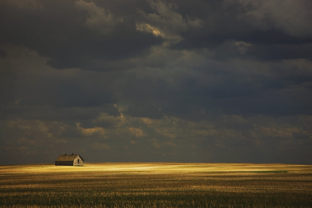 Tofield Alberta Canada An Old Barn In A Field Canvas Art - Darren Greenwood Design Pics (38 x 24)