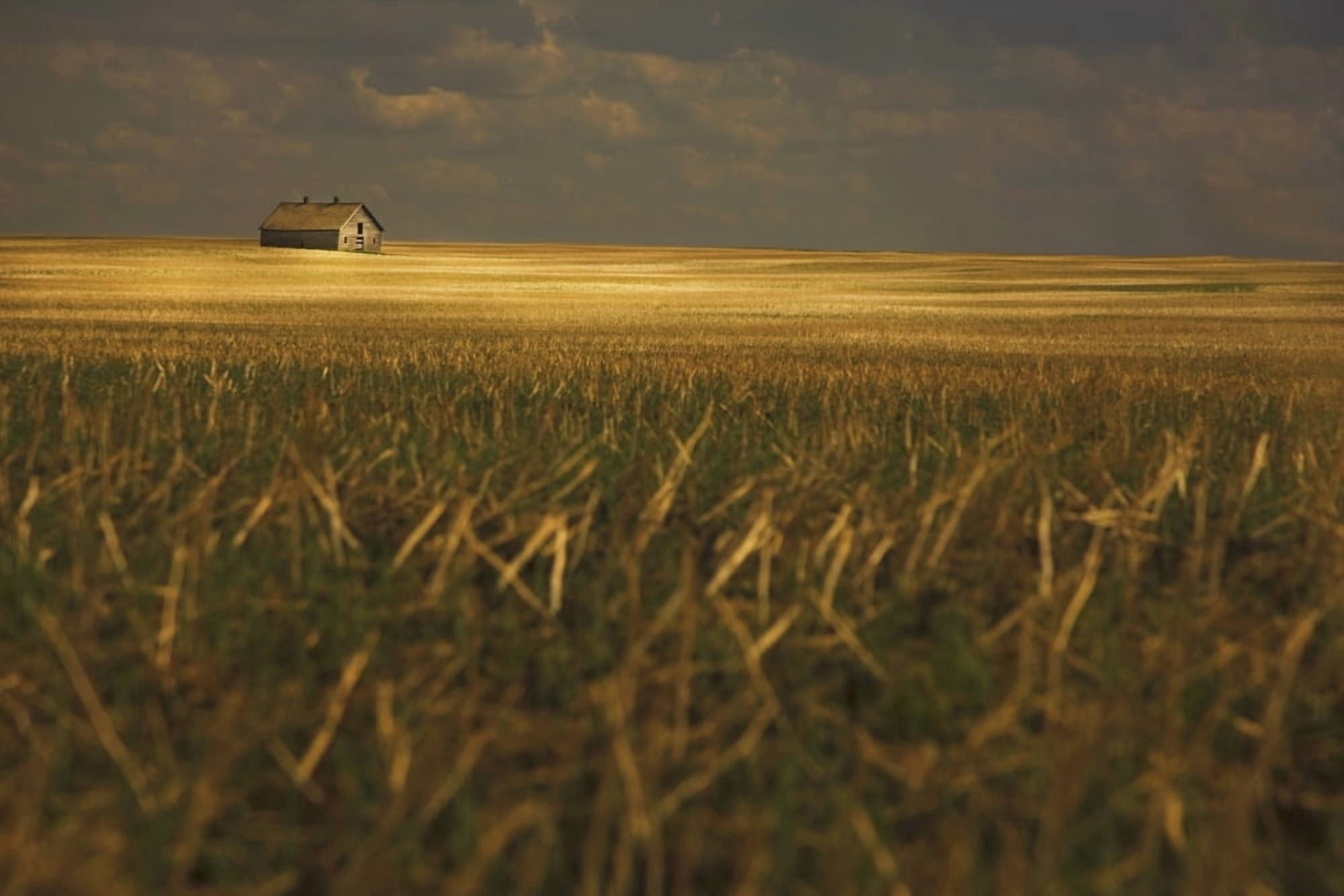 Tofield Alberta Canada An Old Barn In A Field Canvas Art - Darren Greenwood Design Pics (38 x 24)