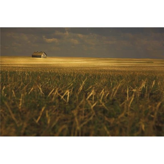 Tofield, Alberta, Canada - An Old Barn In A Field Poster Print, 38 x 24 - Large