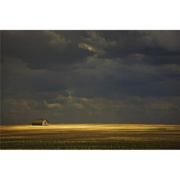 Tofield, Alberta, Canada - An Old Barn In A Field Poster Print, 38 x 24 - Large