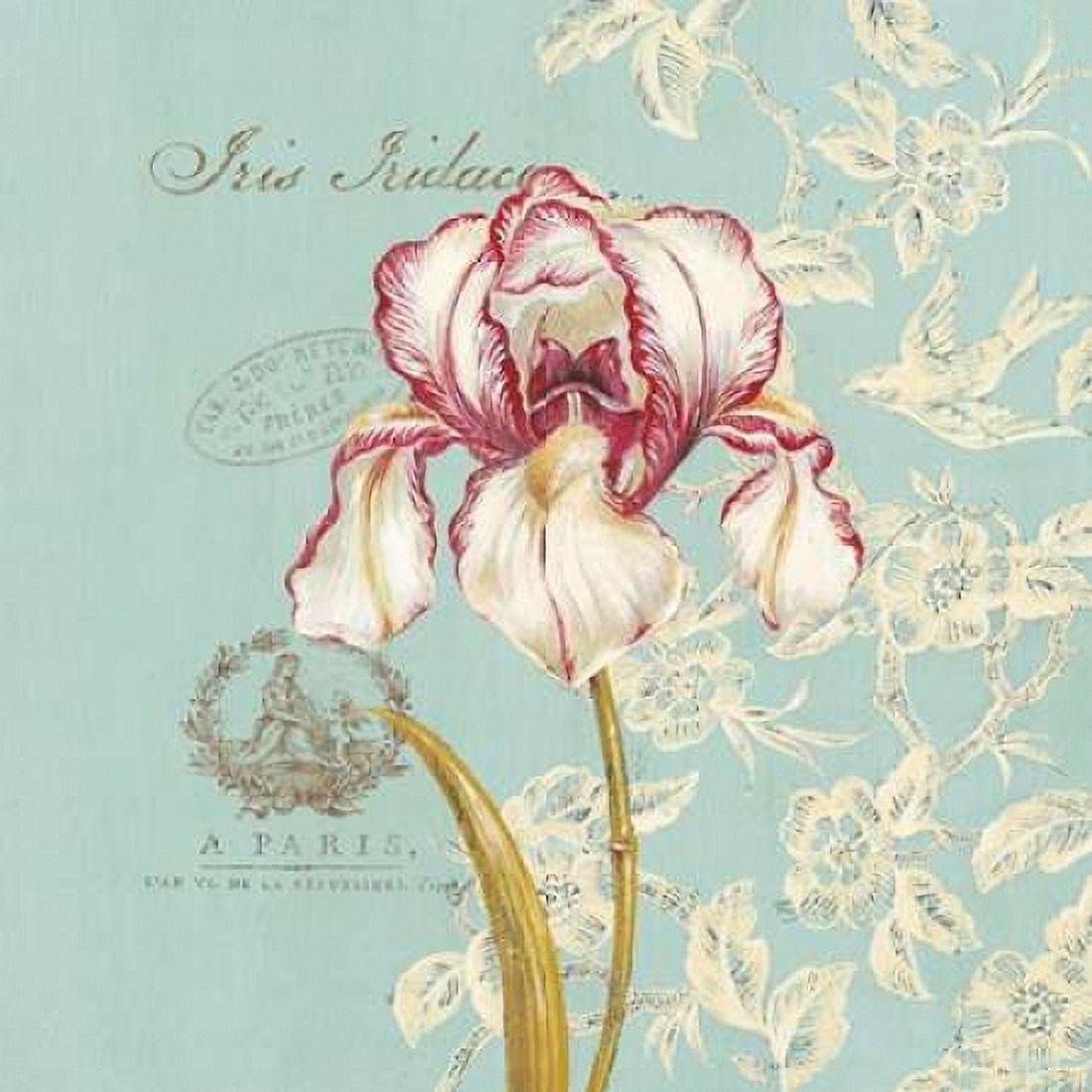Toile Iris Canvas Art - Stefania Ferri (24 x 24)