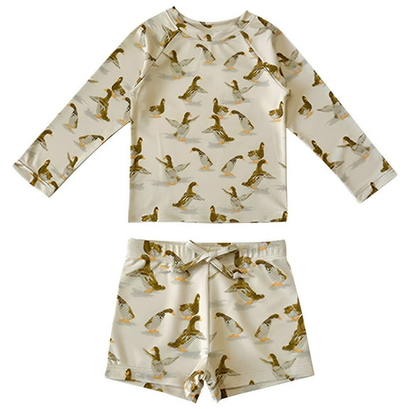 Toimothcn Boys Swimsuits Long Sleeve Cute Cartoon Carrot Printed Compression 2 Peice Bathing Suit Quickly Dry Soft Swimwear 6-7 Years