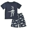thumbnail image 1 of Toimothcn Toddler Baby Boys Outfit Set Short Sleeve Cartoon Dinosaur Printed Tees + Stretchy Shorts 2Pcs Summer Clothes Sets Cool Loose Fit Kids Outfit Sets Comfy Kids Dailywear, 1 of 6