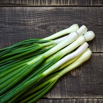Tokyo Long White Bunching Onion Garden Seeds - 1 Oz - Non-GMO, Heirloom Vegetable Gardening & Micro Greens Seed