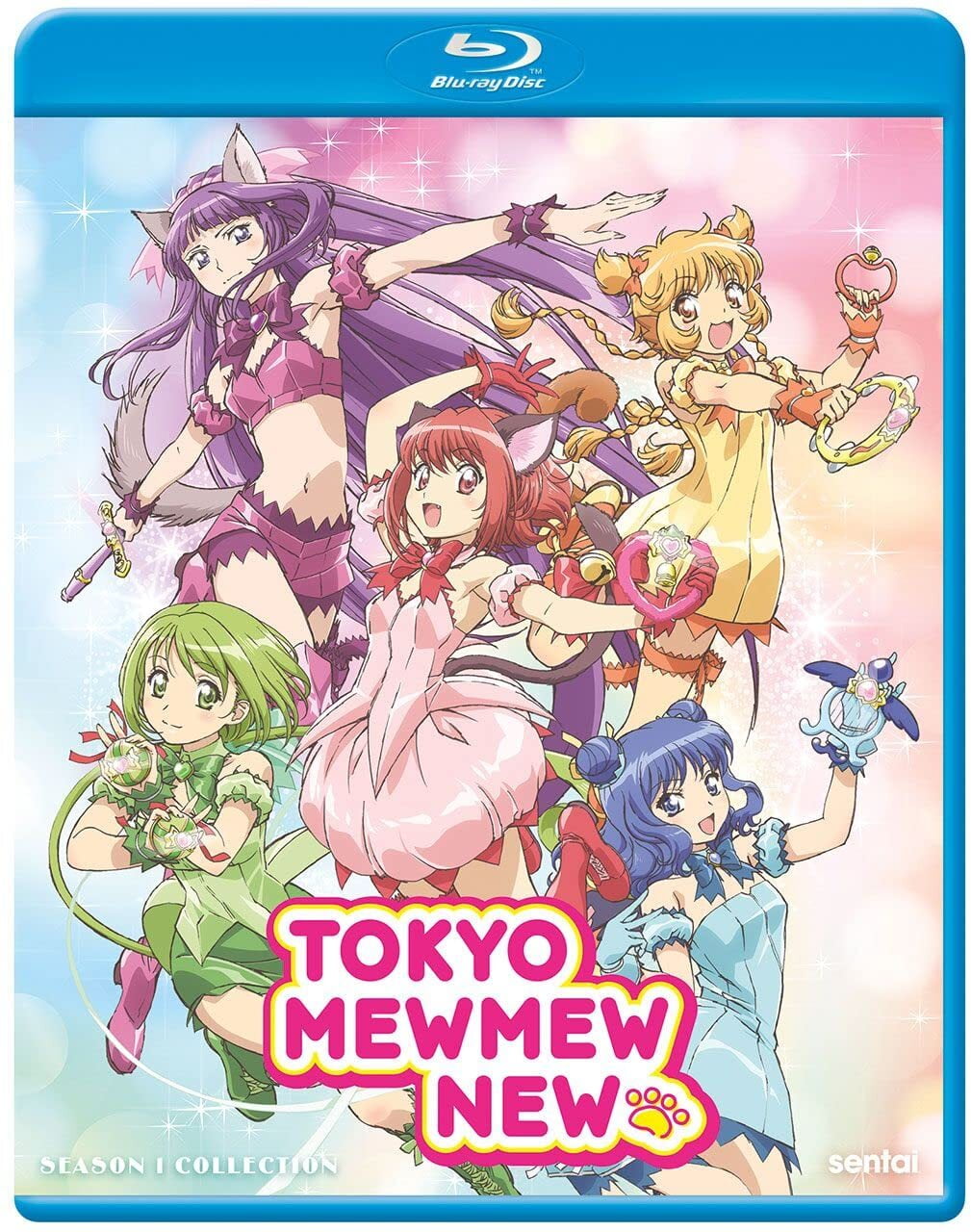 ミュージシャン DEZERT Blu-ray Amazon.co.jp: DEZERT SPECIAL ONEMAN LIVE at NIPPON BUDOKAN