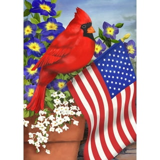 Wincraft MLB St. Louis Cardinals Flag12x18 Garden Style 2 Sided Flag, Team  Colors, One Size