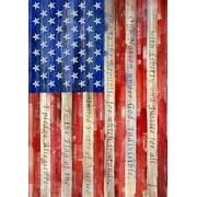 Toland Home Garden Banner of Allegiance American Patriotic Flag Double Sided 12x18 Inch