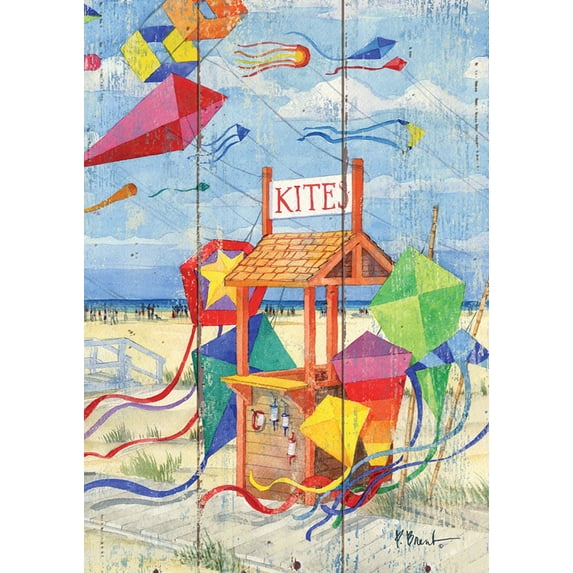 Toland Home Garden Beach Kite Stand House Flag