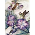 thumbnail image 1 of Toland Home Garden Charm of Hummingbirds Bird Hummingbird Flag Double Sided 28x40 Inch, 1 of 5