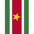 thumbnail image 1 of Toland Home Garden Flag of Suriname Garden Flag, 1 of 5