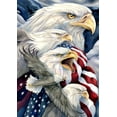 thumbnail image 1 of Toland Home Garden Fly In Unity Eagle Patriotic Flag Double Sided 12x18 Inch, 1 of 5