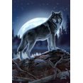 thumbnail image 1 of Toland Home Garden Full Moon Wolf Wolf Flag Double Sided 28x40 Inch, 1 of 5