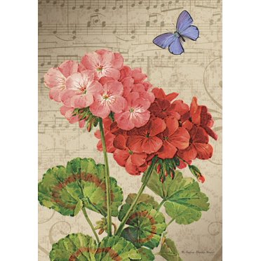 Toland Home Garden Drapeau De Maison En Polyester à 2 Faces Fifty States Btq11598