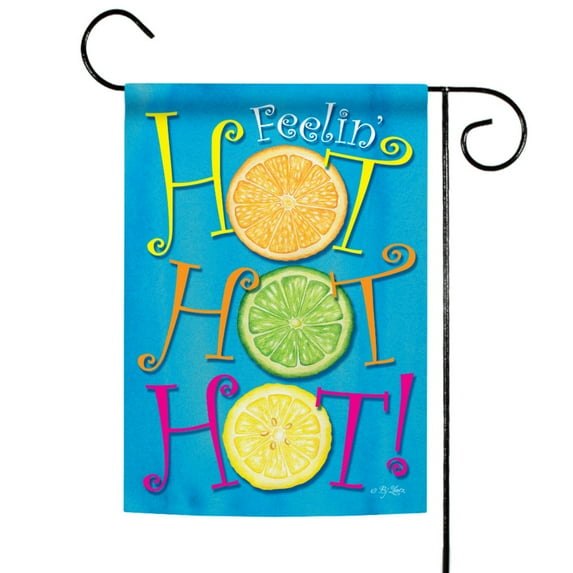 Toland Home Garden Hot Hot Hot Sunshine summer Flag Double Sided 12x18 Inch